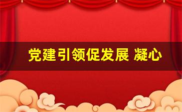 党建引领促发展 凝心聚力_坚持党建引领,强化责任担当